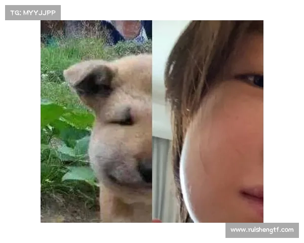 电竞选手小蝶因网络暴力宣布退役仅五天后,遗憾告别赛场 电竞选手小蝶因网络暴力宣布退役仅五天后,遗憾告别赛场